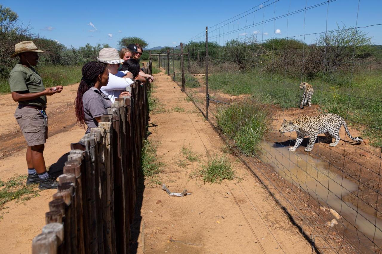 Naankuse Lodge Windhoek Ngoại thất bức ảnh