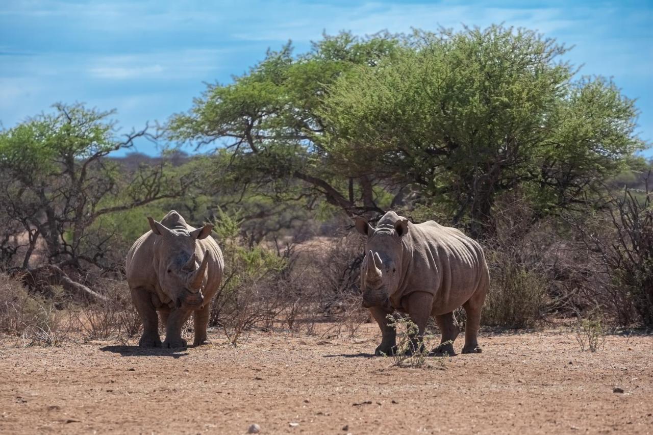 Naankuse Lodge Windhoek Ngoại thất bức ảnh